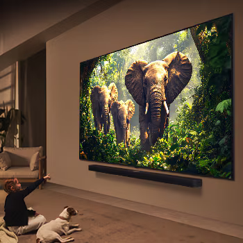 Photo of تلفاز LG QNED evo AI QNED86 MiniLED مقاس 86 بوصة بدقة 4K مع دعم 144HZ VRR مع ريموت سحري يعمل بالذكاء الاصطناعي ونظام WebOS25 لعام 2025