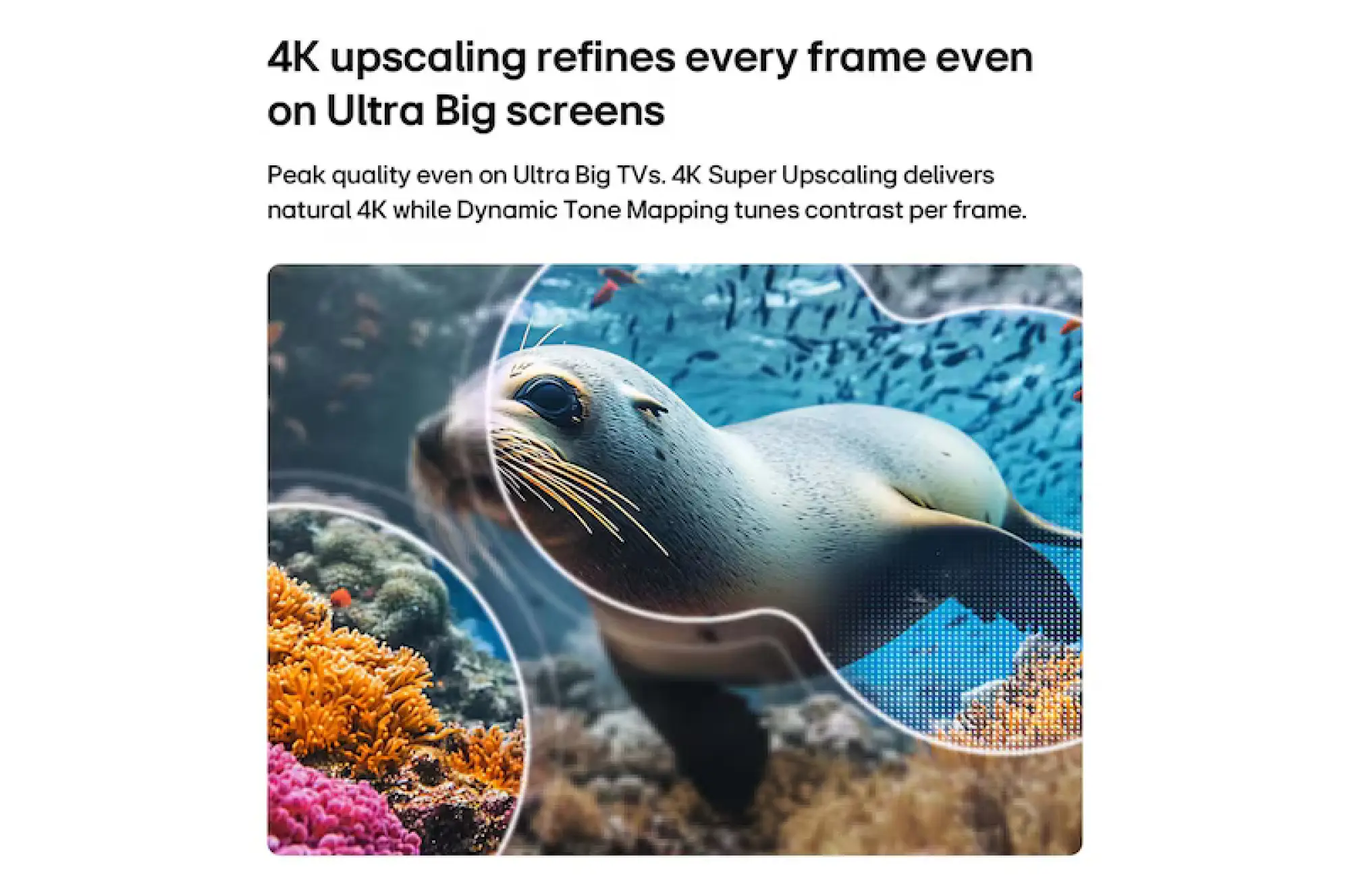 Photo of تلفزيون إل جي الذكي بحجم 75 بوصة ، مع الريموت الذكي AI Magic Remote، وميزة HDR10 Pro، ونظام webOS، موديل 2026 (60 هرتز).